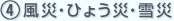 風災・ひょう災・雪災