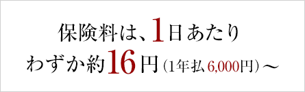 保険料は、1日あたりわずか約16円(1年払 6,000円~)