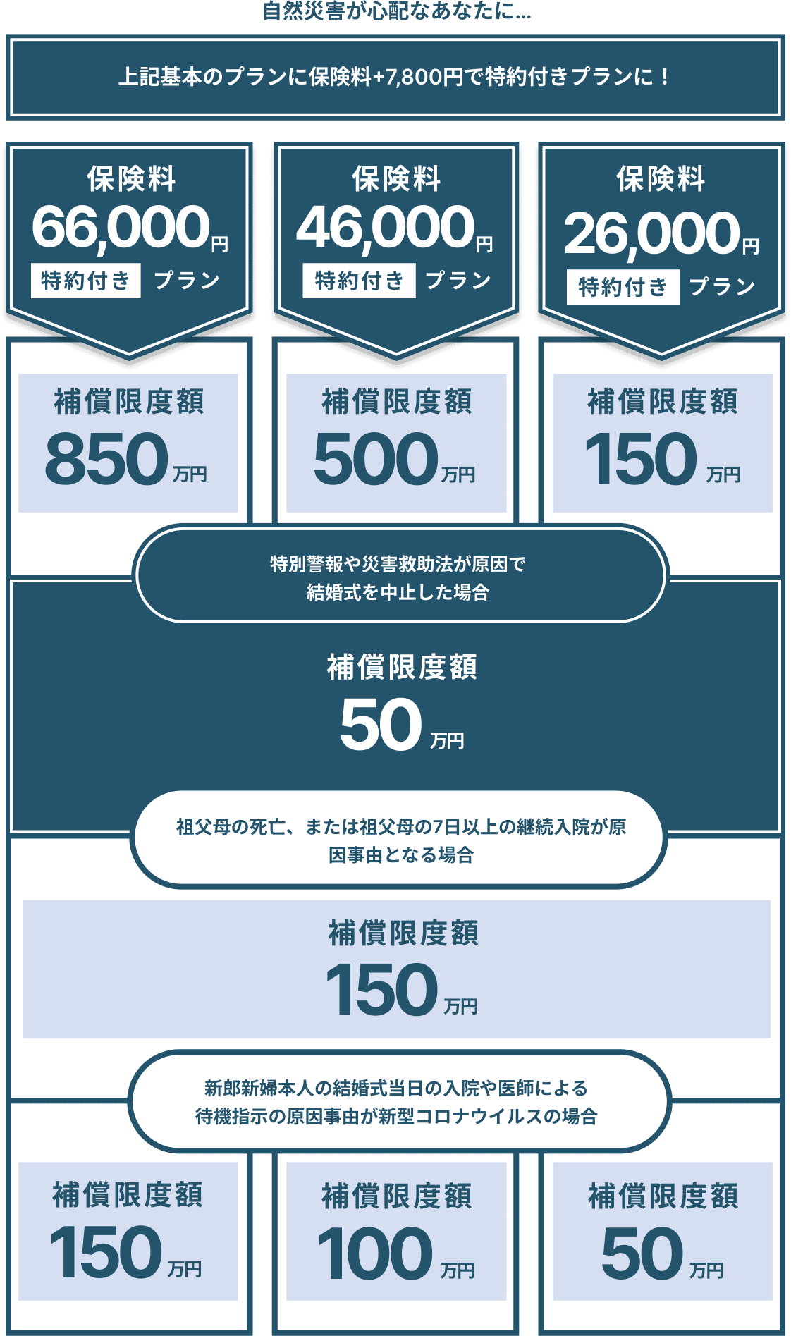 特約付きプラン