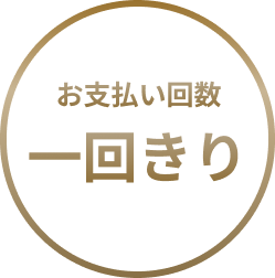 お支払い回数一回きり